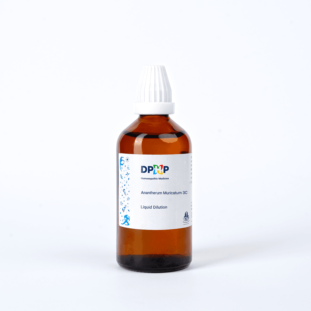 Anantherum Muricatum