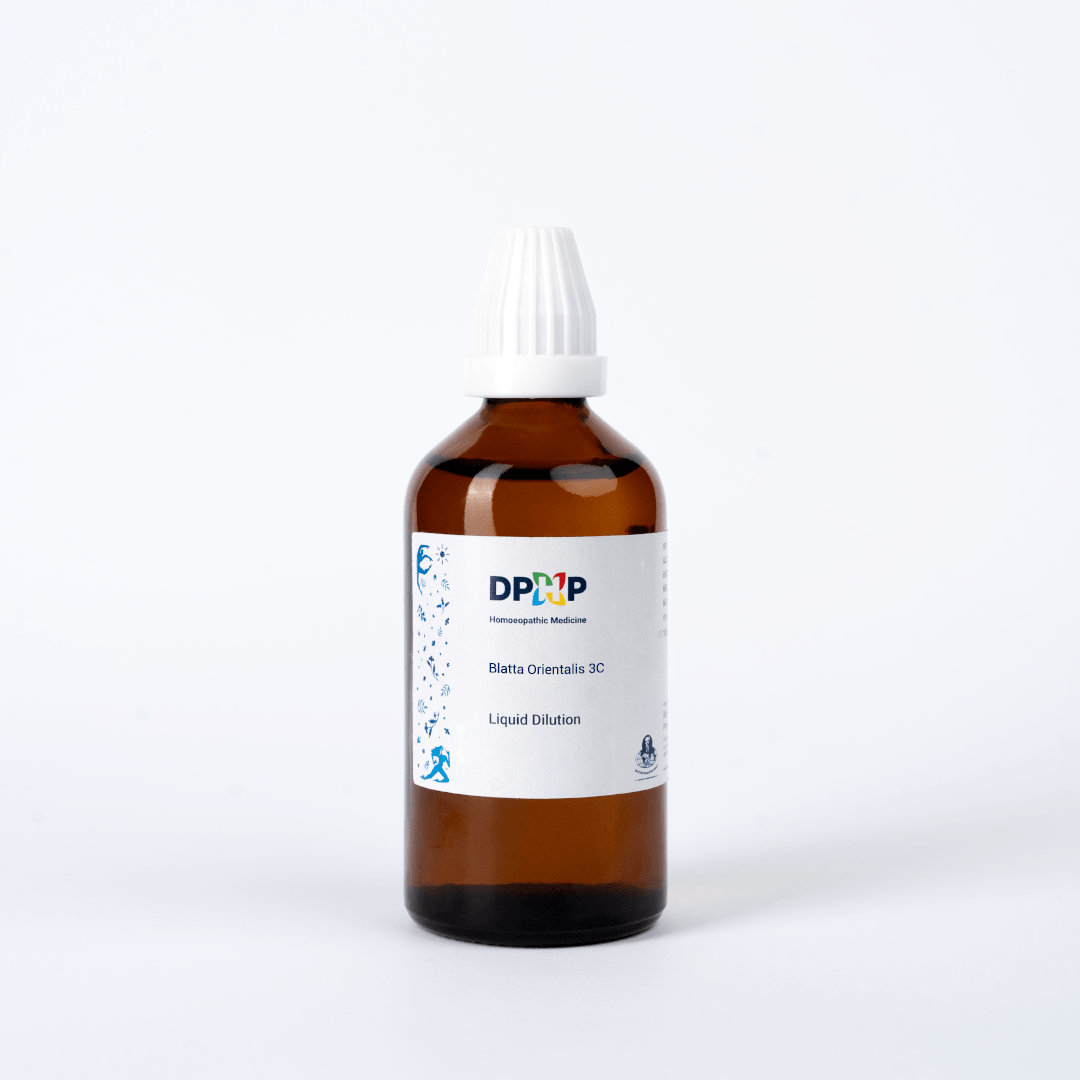 Blatta Orientalis