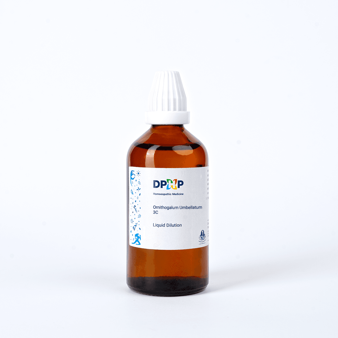 Ornithogalum Umbellatum