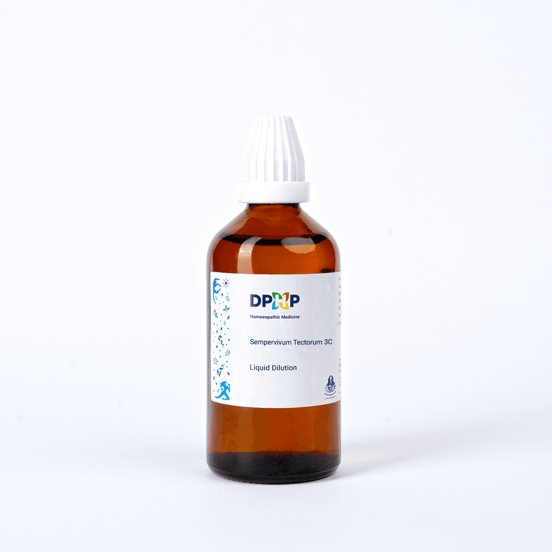 Sempervivum Tectorum 