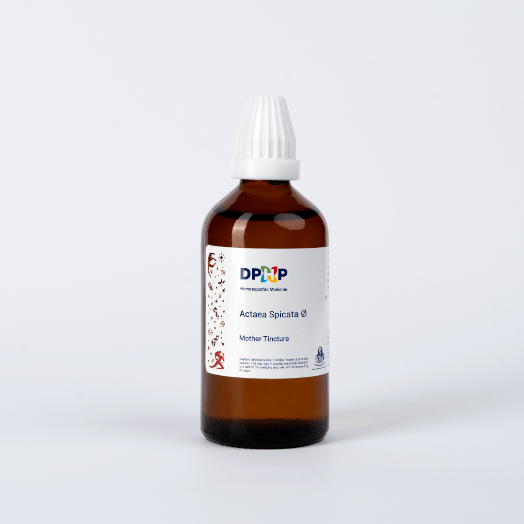 Actaea Spicata  (MT)