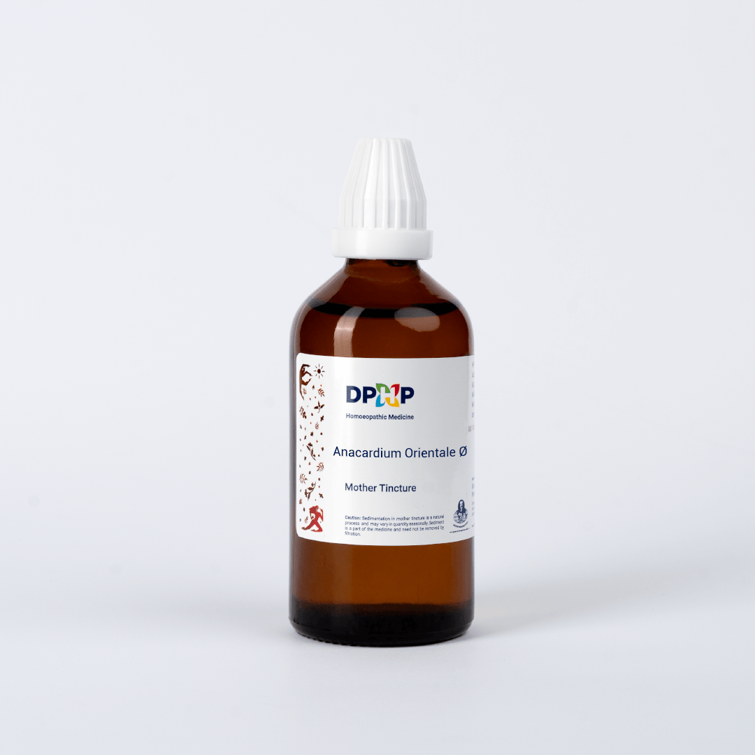 Anantherum Muricatum  (MT)