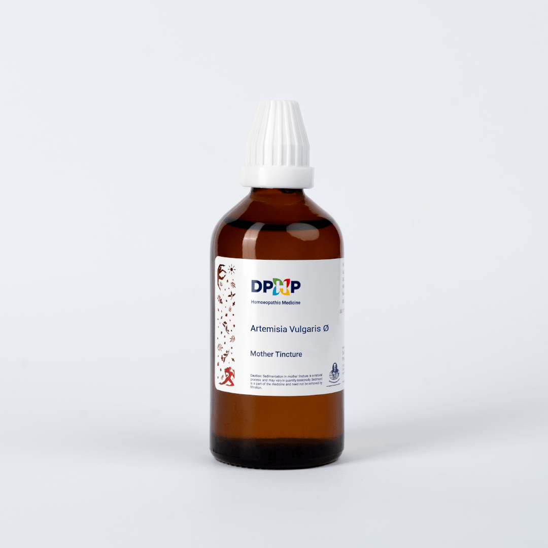 Artemisia Vulgaris  (MT)