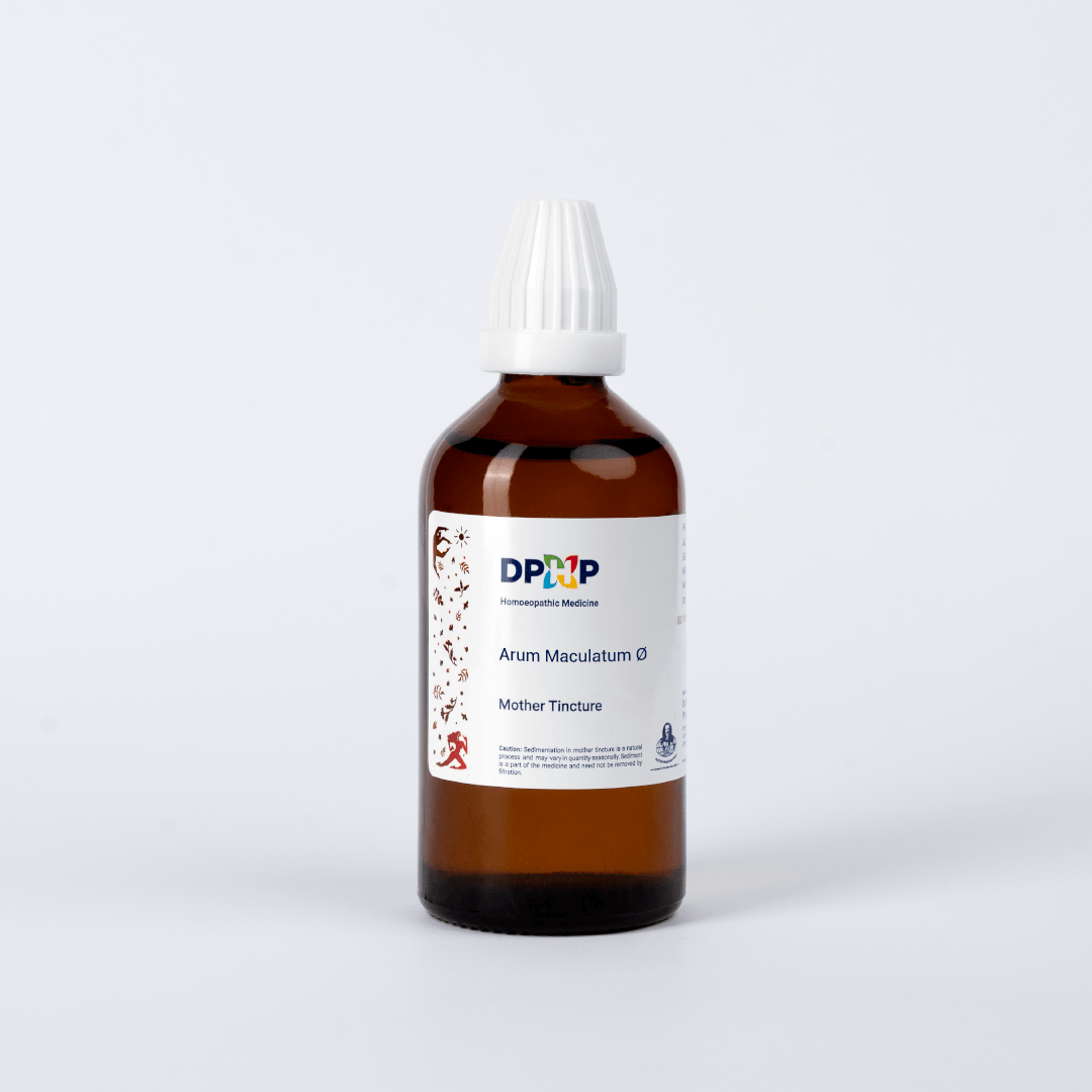 Arum Maculatum  (MT)