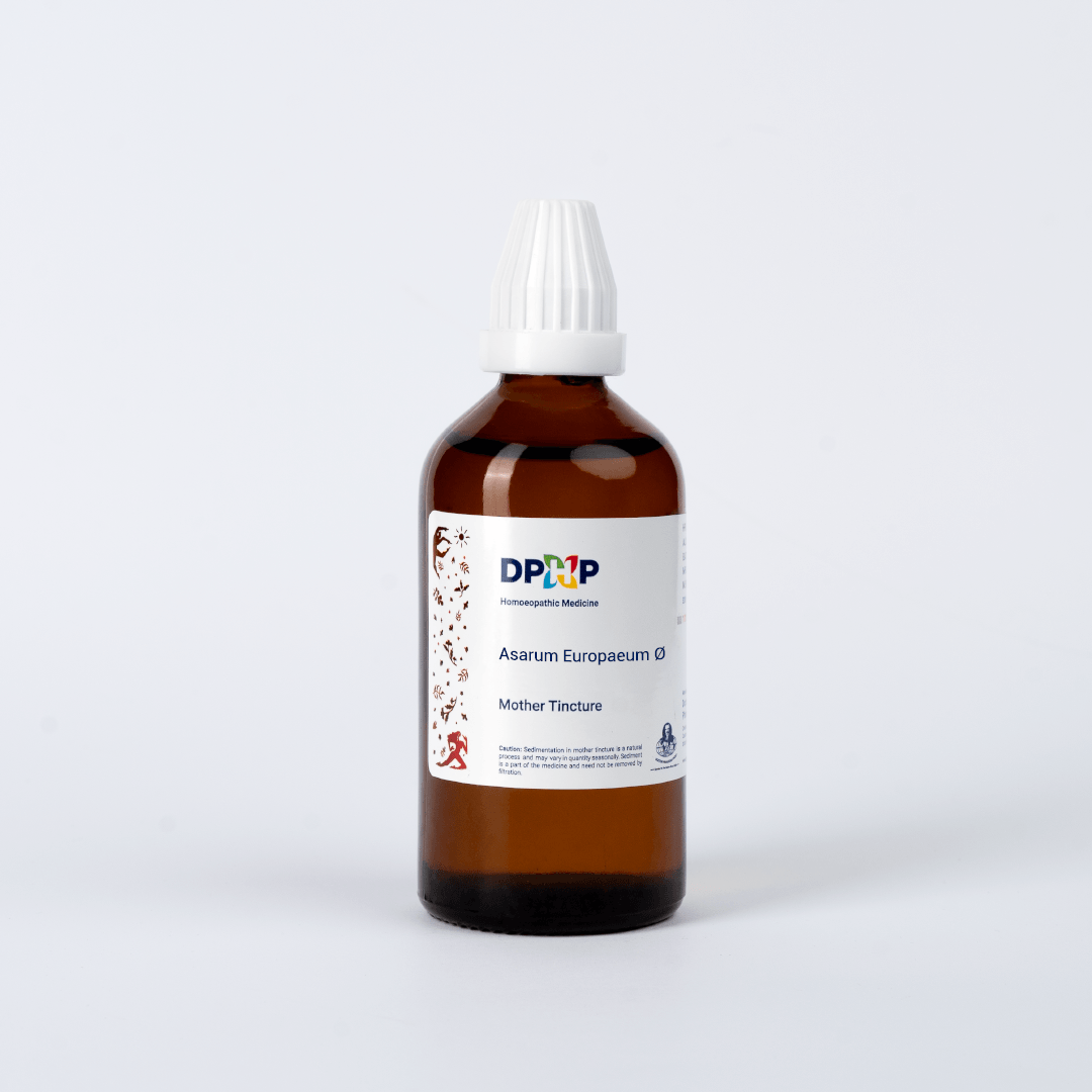 Asarum Europaeum  (MT)