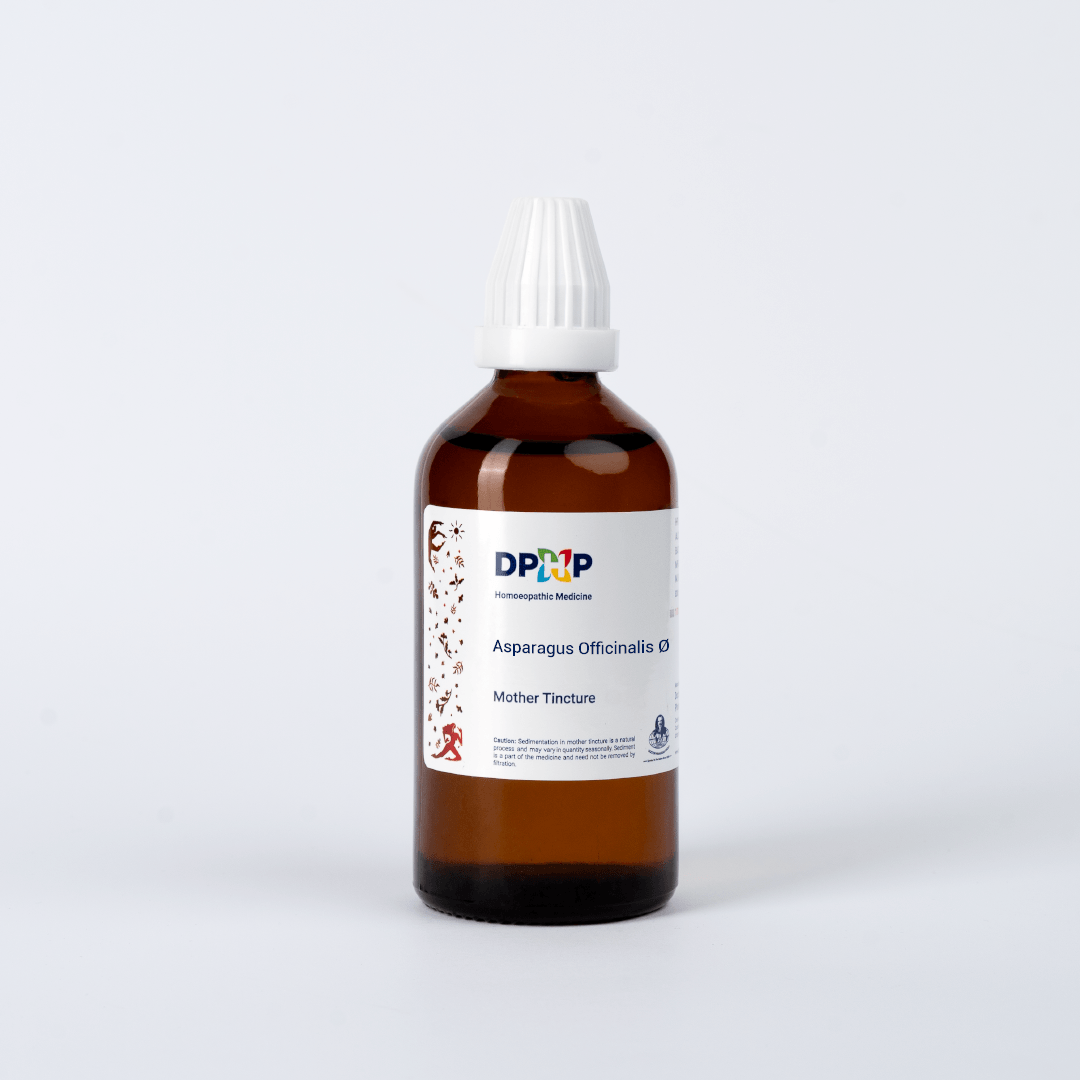 Asparagus Officinalis  (MT)