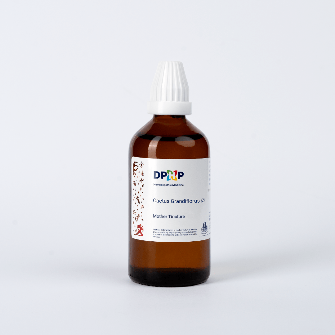Cactus Grandiflorus  (MT)
