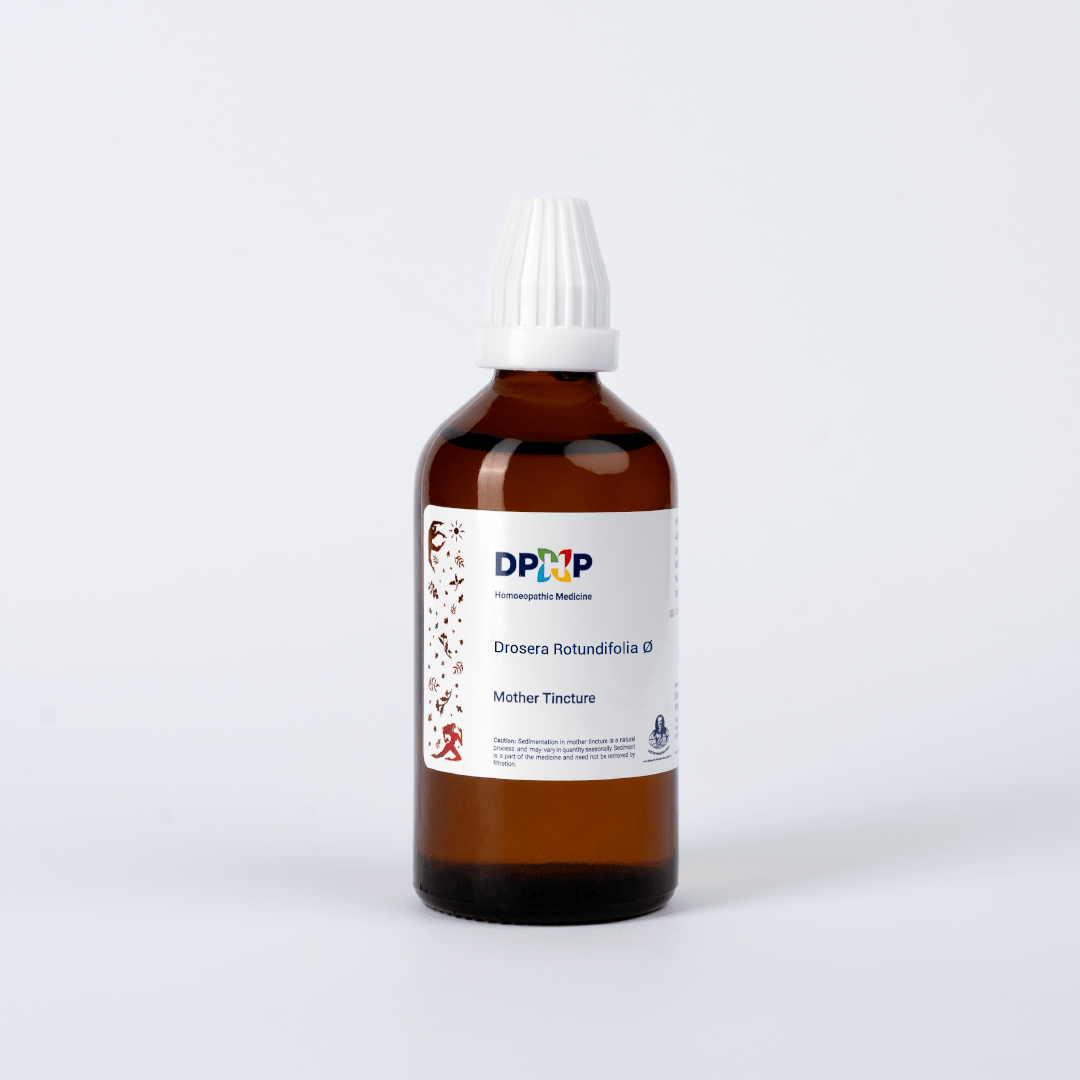 Drosera Rotundifolia  (MT)