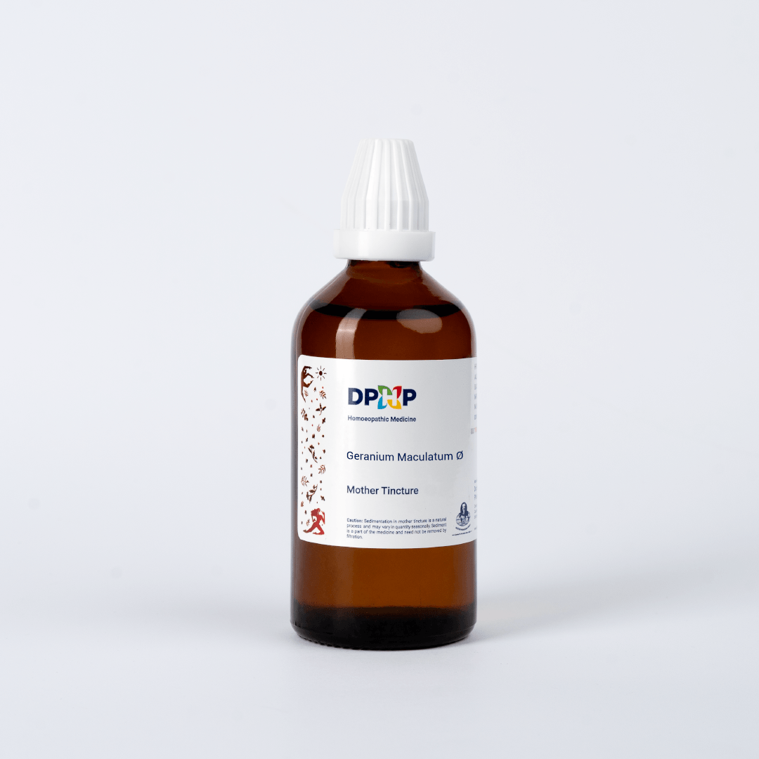 Geranium Maculatum  (MT)