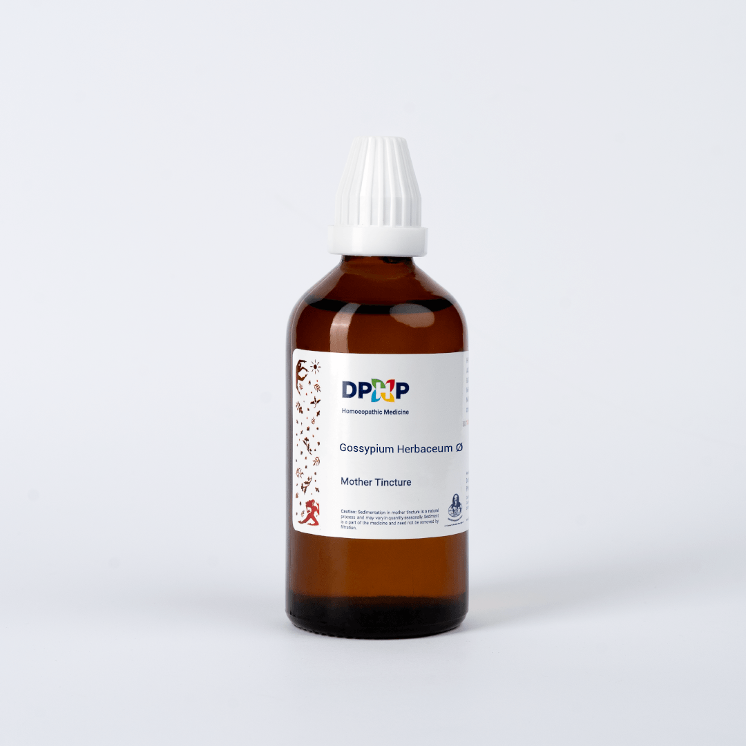 Gossypium Herbaceum  (MT)