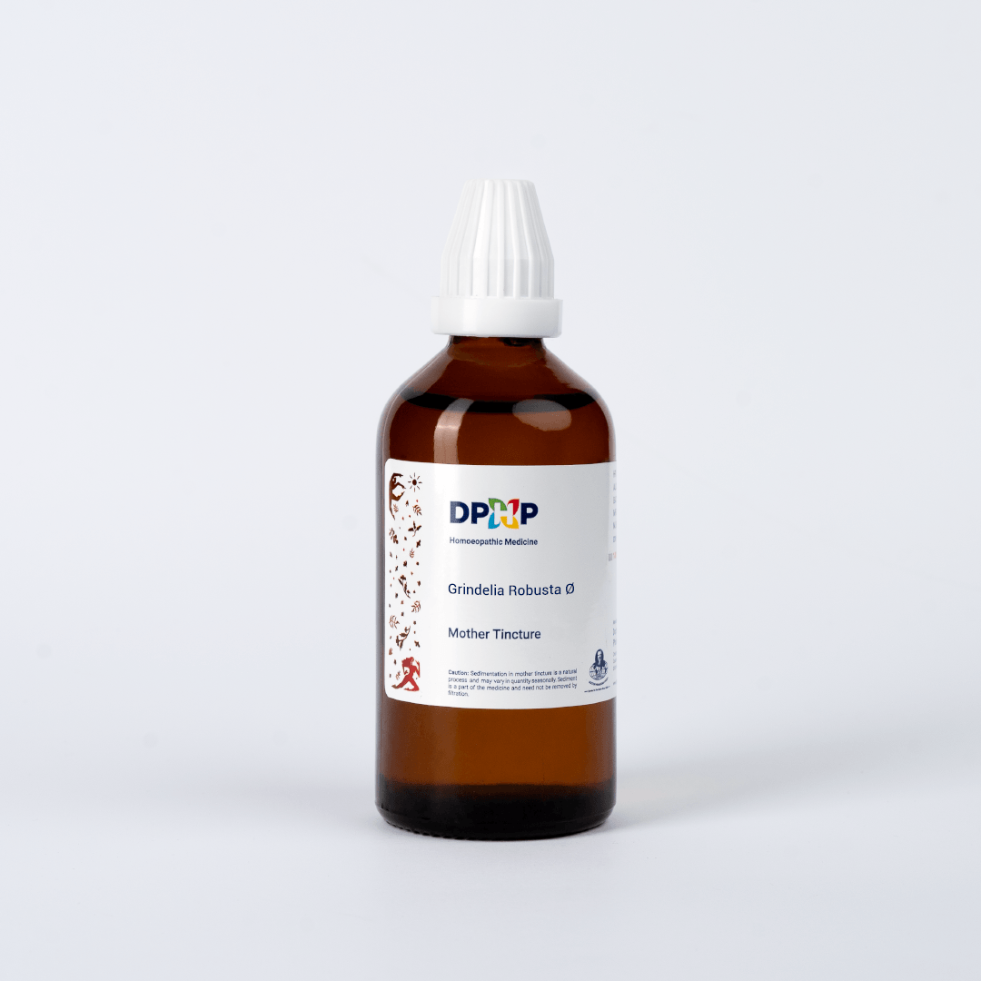 Grindelia Robusta  (MT)