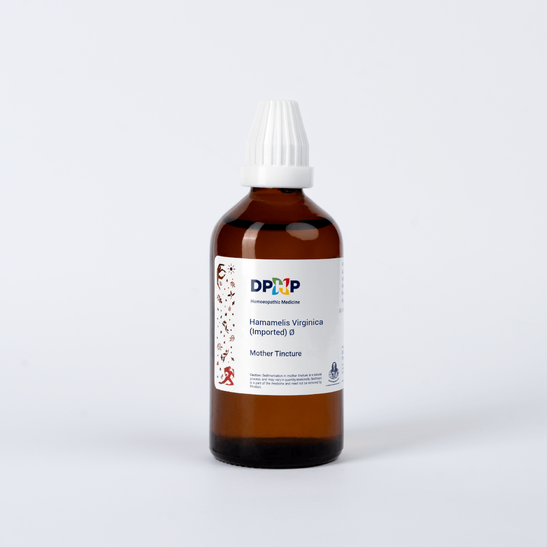 Hamamelis Virginica (MT)