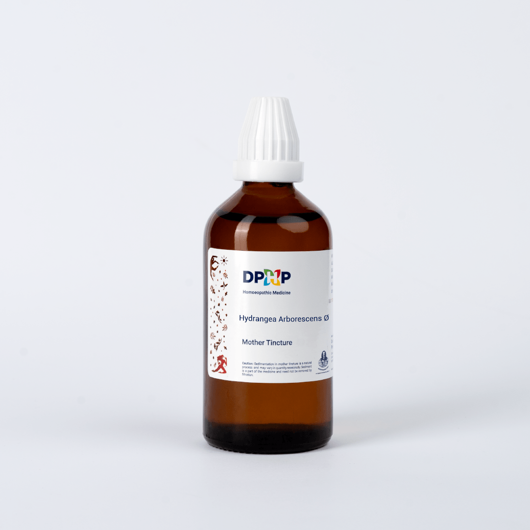 Hydrangea Arborescens  (MT)