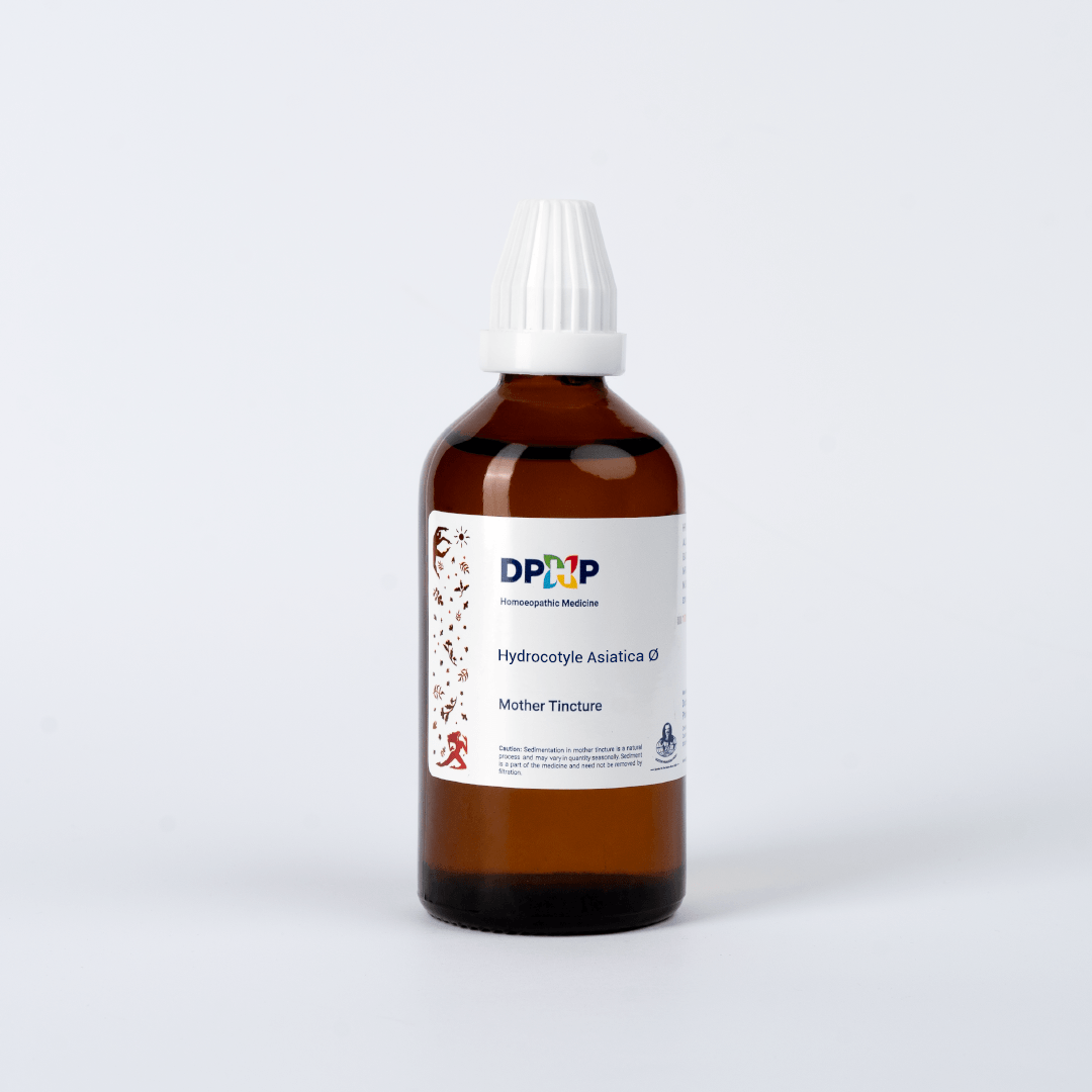 Hydrocotyle Asiatica  (MT)