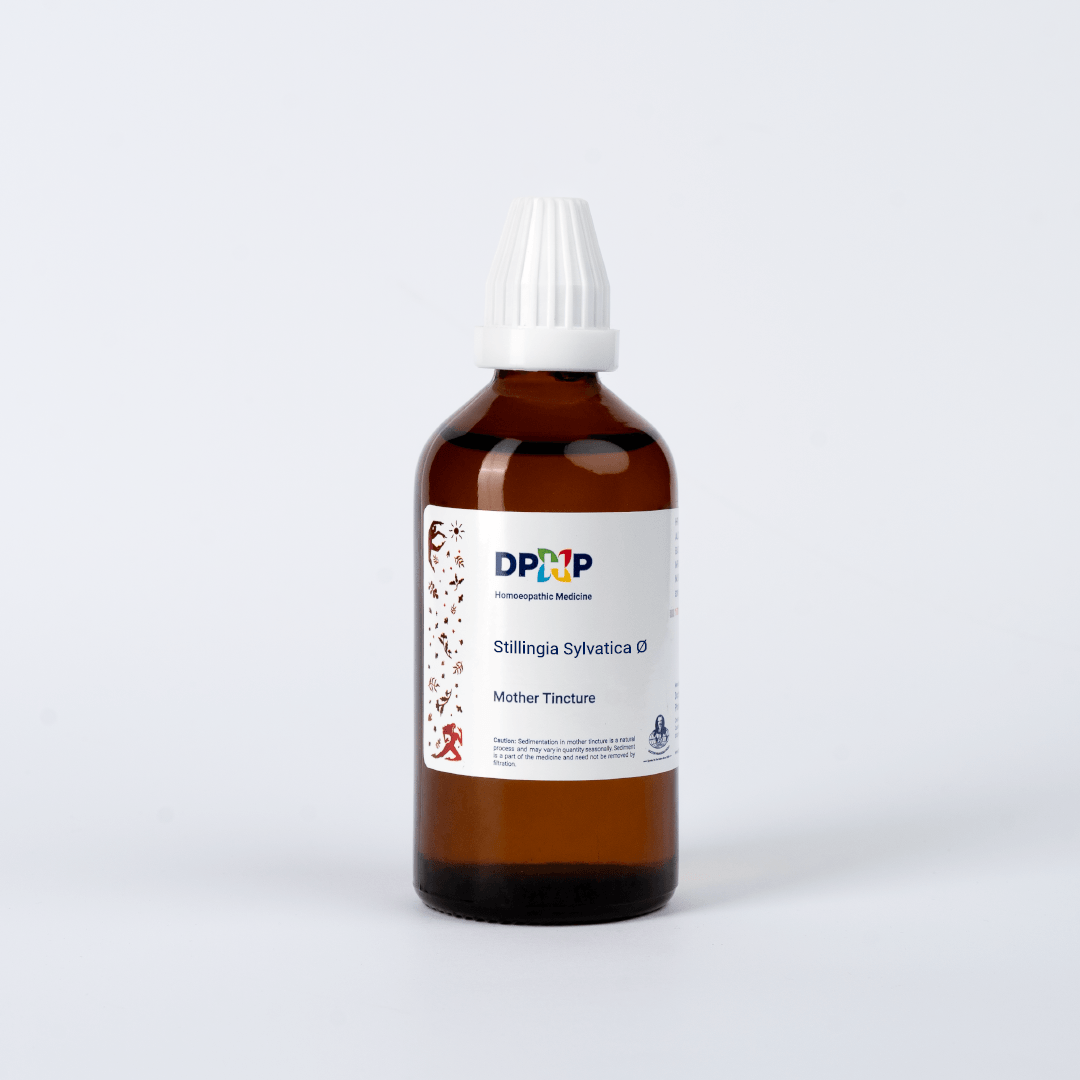 Stillingia Sylvatica  (MT)