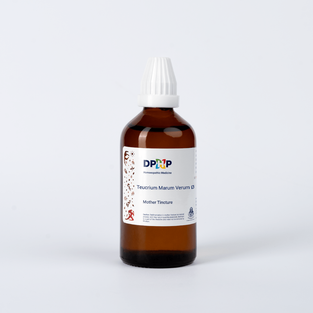 Teucrium Marum Verum  (MT)